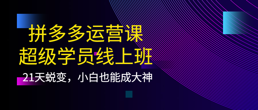 拼多多运营课：超级学员线上班，21天蜕变，小白也能成大神-小白项目网