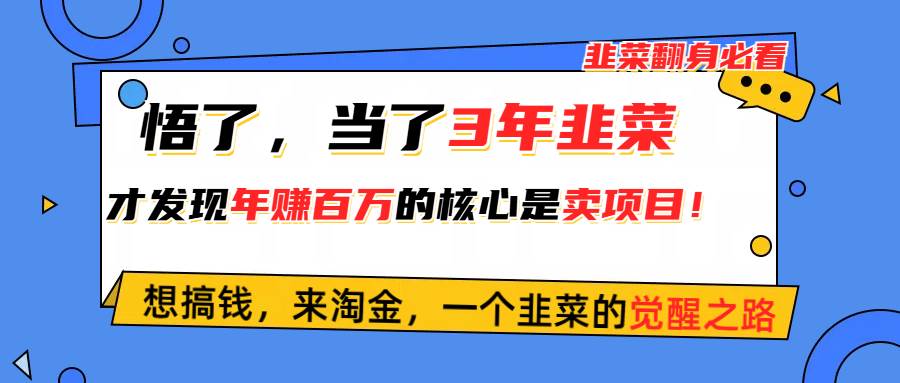 悟了，当了3年韭菜，才发现网赚圈年赚100万的核心是卖项目，含泪分享！-小白项目网