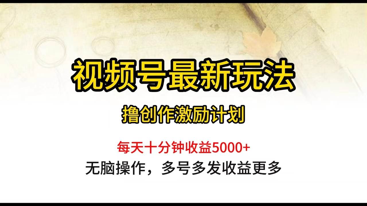 视频号最新玩法，每日一小时月入5000+-小白项目网