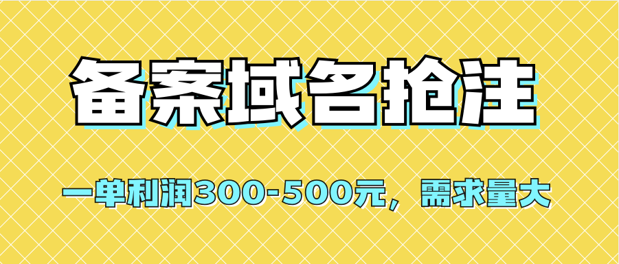 【全网首发】备案域名抢注，一单利润300-500元，需求量大-小白项目网