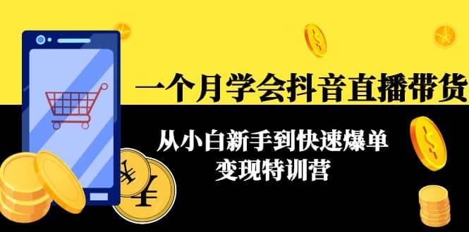 一个月学会抖音直播带货：从小白小白到快速爆单变现特训营(63节课)-小白项目网