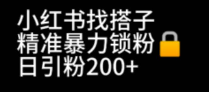 小红书找搭子暴力精准锁粉+引流日引200+精准粉-小白项目网