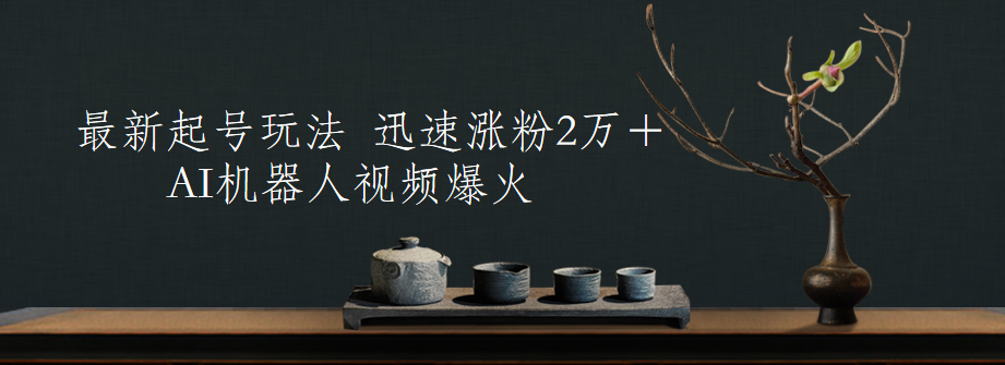 最新起号玩法，AI机器人视频爆火，迅速涨粉2万＋ - 小白项目网-小白项目网