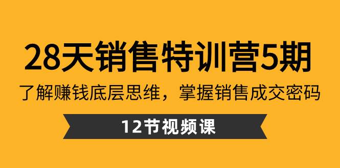 28天·销售特训营5期：了解赚钱底层思维，掌握销售成交密码（12节课）-小白项目网