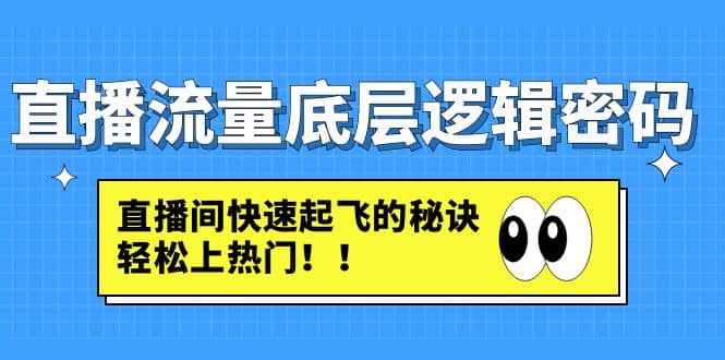 直播流量底层逻辑密码：直播间快速起飞的秘诀，轻松上热门-小白项目网