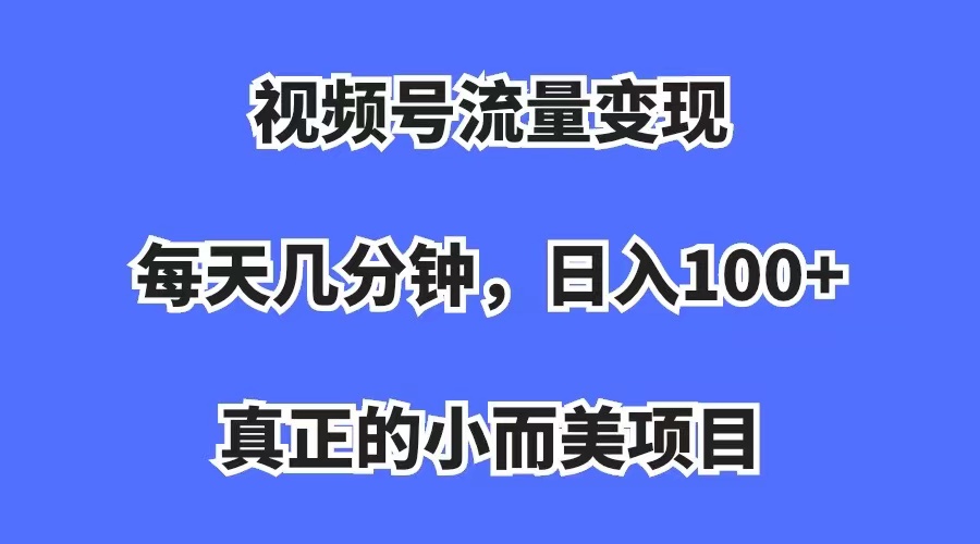 视频号流量变现，每天几分钟，收入100+，真正的小而美项目-小白项目网