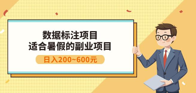 副业赚钱：人工智能数据标注项目，简单易上手，小白也能日入200+-小白项目网