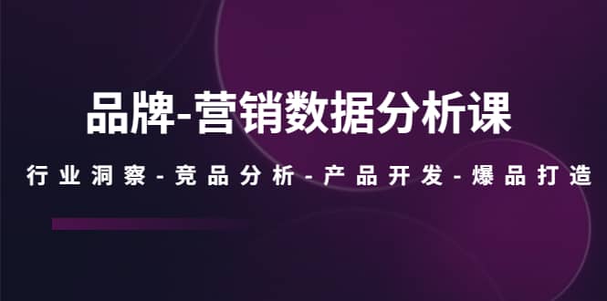 品牌-营销数据分析课，行业洞察-竞品分析-产品开发-爆品打造-小白项目网