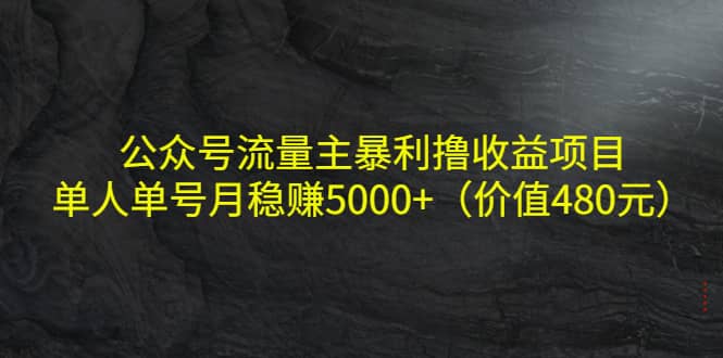 公众号流量主暴利撸收益项目，单人单号月稳赚5000+（价值480元）-小白项目网