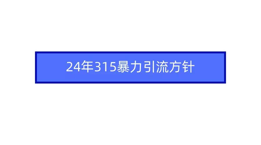 2024年315暴力引流方针-小白项目网