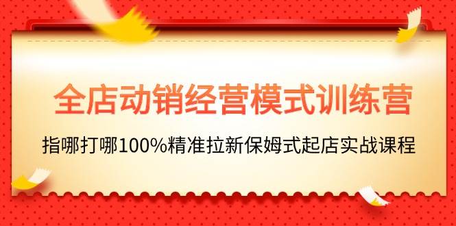 全店动销-经营模式训练营，指哪打哪100%精准拉新保姆式起店实战课程-小白项目网