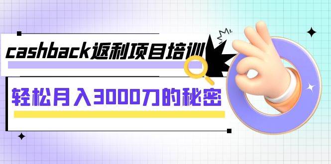 cashback返利项目培训：轻松月入3000刀的秘密（8节课）-小白项目网