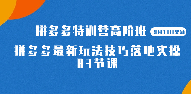 2023拼多多·特训营高阶班【9月13日更新】拼多多最新玩法技巧落地实操-83节-小白项目网