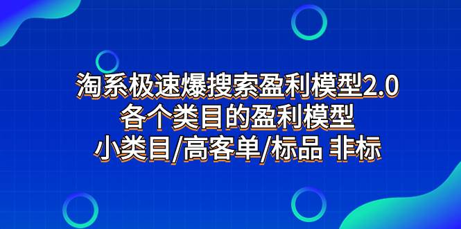 淘系极速爆搜索盈利模型2.0，各个类目的盈利模型，小类目/高客单/标品 非标-小白项目网