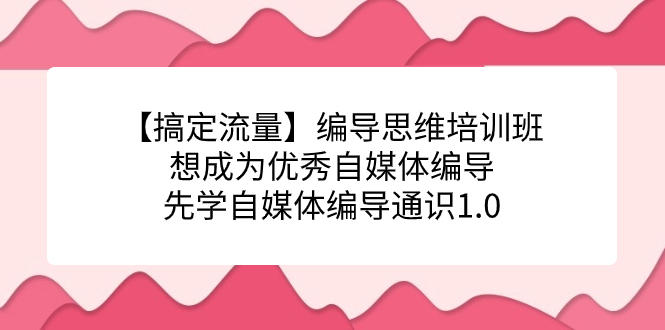 【搞定流量】编导思维培训班，想成为优秀自媒体编导先学自媒体编导通识1.0-小白项目网