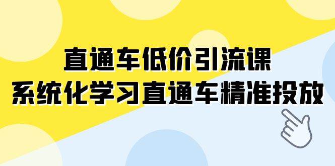 直通车-低价引流课，系统化学习直通车精准投放（14节课）-小白项目网