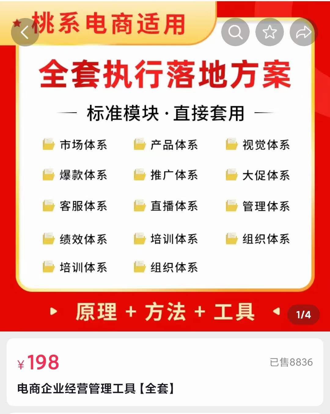 外面卖198·电商企业经营管理工具：全套执行落地方案 标准模块·直接套用-小白项目网