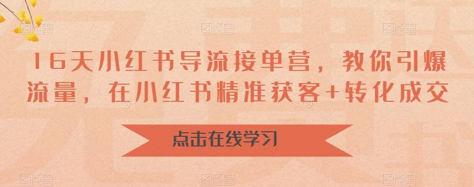 16天-小红书 导流接单营，教你引爆流量，在小红书精准获客+转化成交-小白项目网