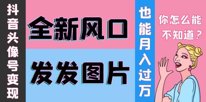 抖音头像号变现0基础教程-小白项目网