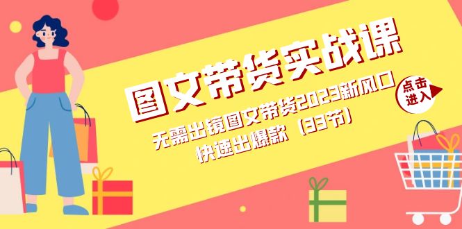 图文带货实战课：无需出镜图文带货2023新风口，快速出爆款（33节）-小白项目网