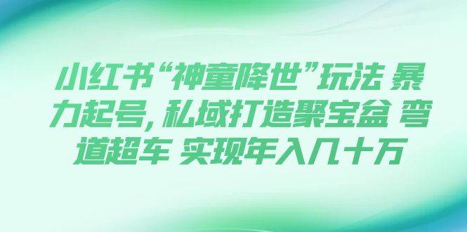 小红书“神童降世”玩法 暴力起号,私域打造聚宝盆 弯道超车 实现年入几十万-小白项目网