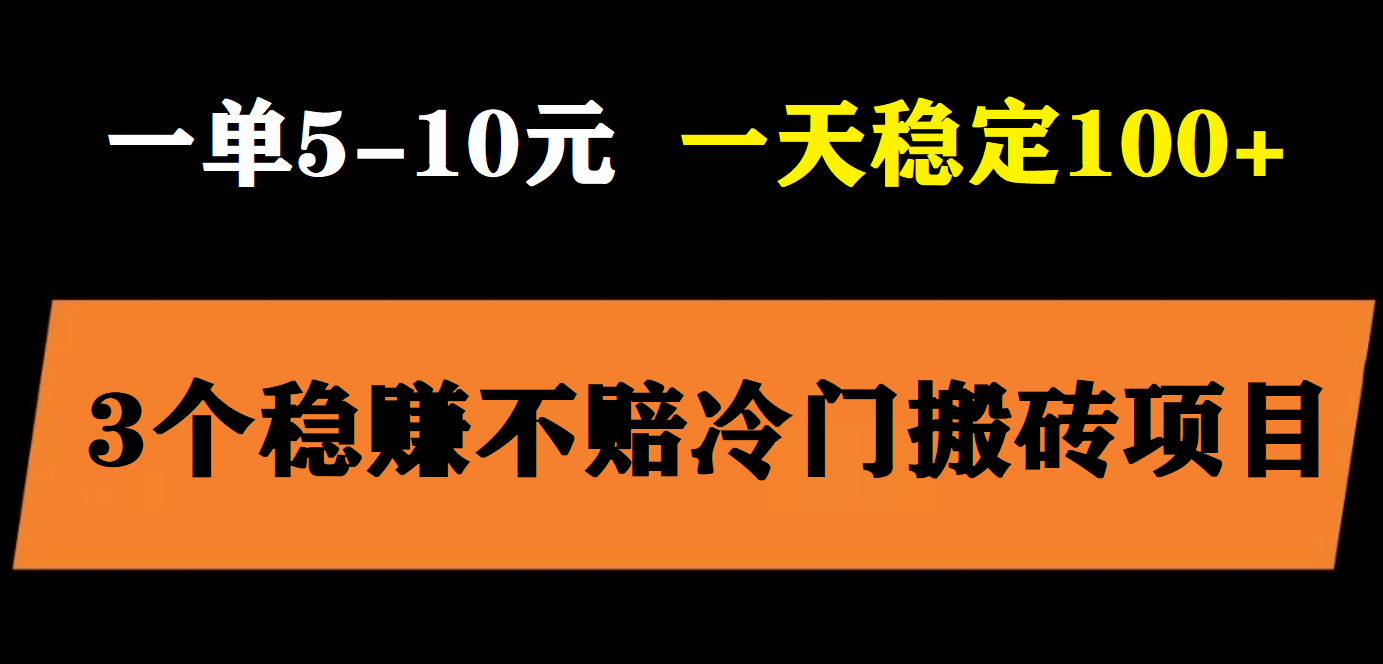 3个最新稳定的冷门搬砖项目，小白无脑照抄当日变现日入过百-小白项目网