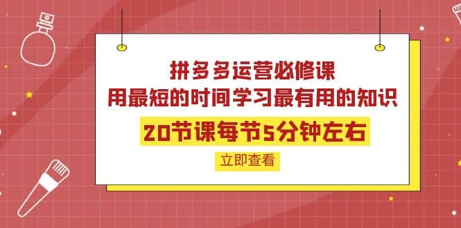 拼多多运营必修课：20节课每节5分钟左右，用最短的时间学习最有用的知识-小白项目网