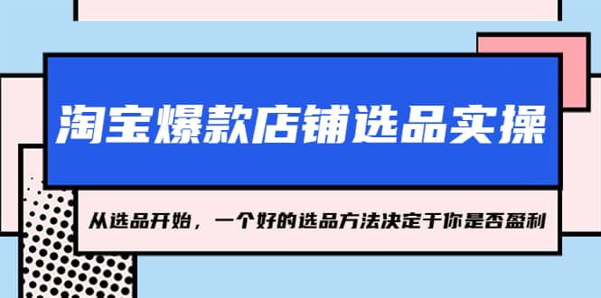 淘宝爆款店铺选品实操，2023从选品开始，一个好的选品方法决定于你是否盈利-小白项目网