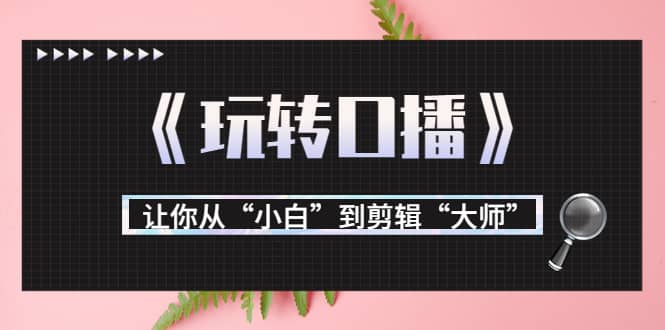 月营业额700万+大佬教您《玩转口播》让你从“小白”到剪辑“大师”-小白项目网