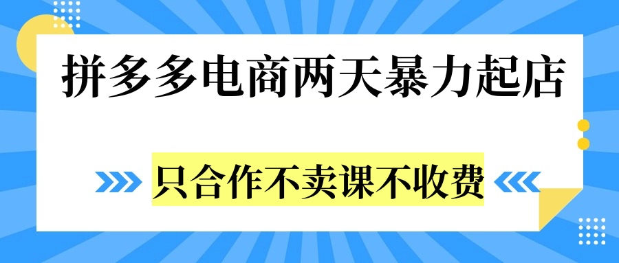 拼多多两天暴力起店，只合作不卖课不收费 - 小白项目网-小白项目网