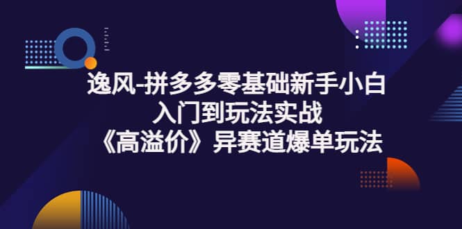 拼多多零基础小白小白入门到玩法实战《高溢价》异赛道爆单玩法实操课-小白项目网