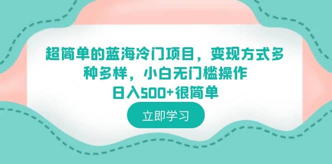 超简单的蓝海冷门项目，变现方式多种多样，小白无门槛操作日入500+很简单-小白项目网