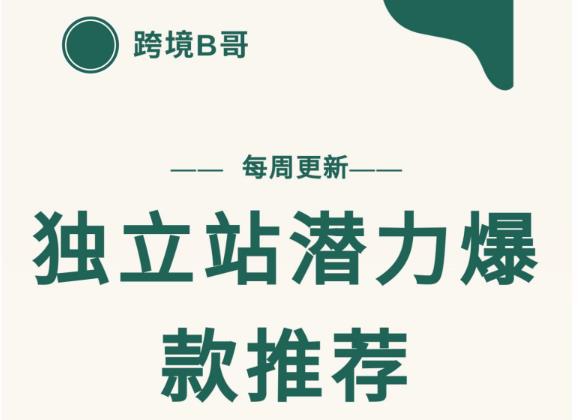 【跨境B哥】独立站潜力爆款选品推荐，测款出单率高达百分之80（每周更新）-小白项目网