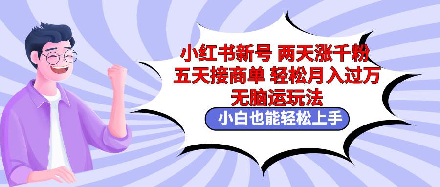 小红书新号两天涨千粉五天接商单轻松月入过万 无脑搬运玩法 小白也能轻…-小白项目网