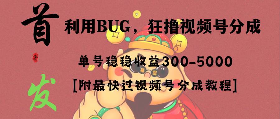 全网独家首发，视频号BUG，超短期项目，单号每日净收益300-5000！-小白项目网