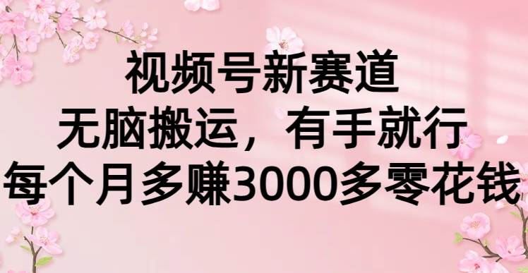 视频号新赛道，无脑搬运，有手就行，每个月多赚3000多零花钱-小白项目网