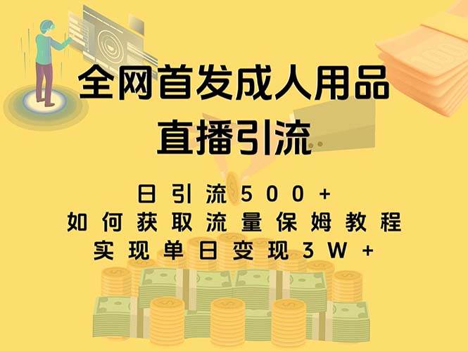 最新全网独创首发，成人用品直播引流获客暴力玩法，单日变现3w保姆级教程-小白项目网