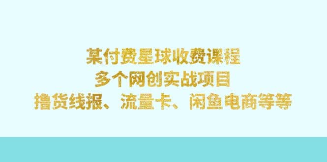 某付费星球课程：多个网创实战项目，撸货线报、流量卡、闲鱼电商等等-小白项目网