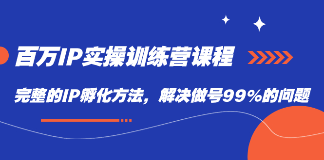 百万IP实战训练营课程，完整的IP孵化方法，解决做号99%的问题-小白项目网