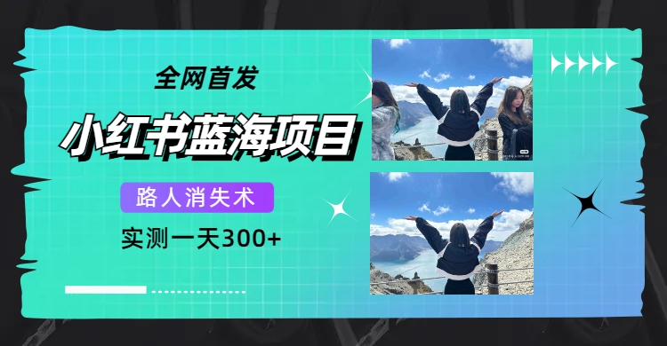 全网首发，小红书蓝海项目，路人消失术，实测一天300+（教程+工具）-小白项目网