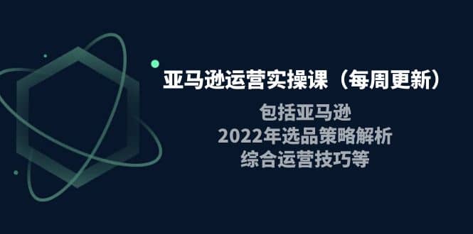 亚马逊运营实操课（每周更新）包括亚马逊2022选品策略解析，综合运营技巧等-小白项目网