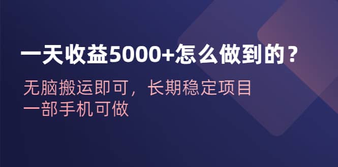 一天收益5000+怎么做到的？无脑搬运即可，长期稳定项目，一部手机可做-小白项目网