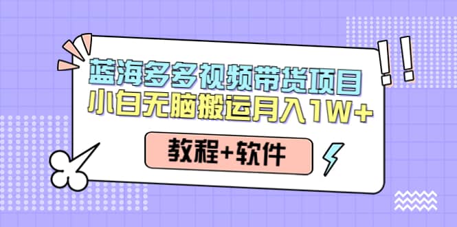 人人都能操作的蓝海多多视频带货项目 小白无脑搬运（教程+软件）-小白项目网