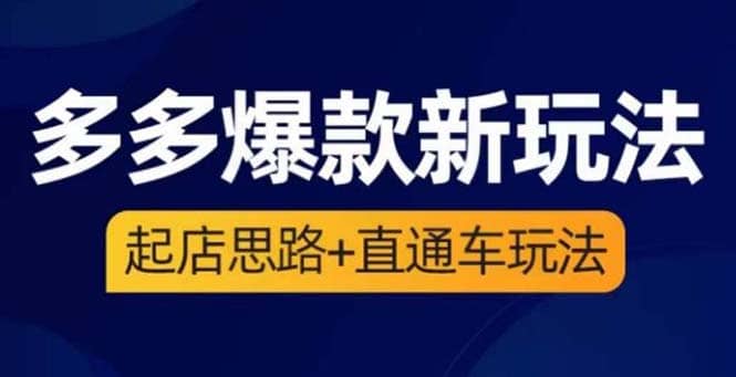 2023拼多多爆款·新玩法：起店思路+直通车玩法（3节精华课）-小白项目网