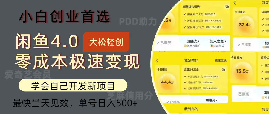 闲鱼0成本极速变现项目，多种变现方式，单号日入500+最新玩法-小白项目网