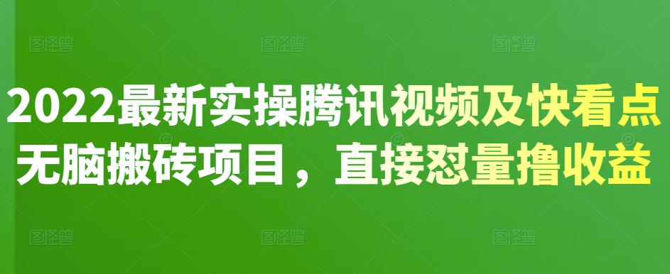 2022最新实操腾讯视频及快看点无脑搬砖项目，直接怼量撸收益-小白项目网