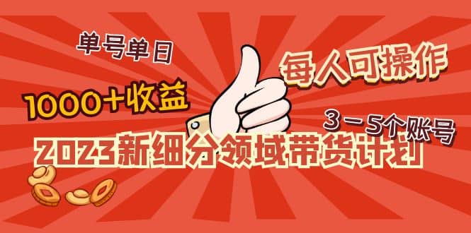 2023新细分领域带货计划：单号单日1000+收益不难，每人可操作3-5个账号-小白项目网