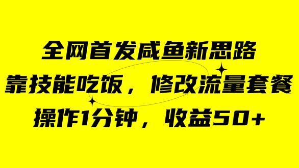 咸鱼冷门新玩法，靠“技能吃饭”，修改流量套餐，操作1分钟，收益50+-小白项目网