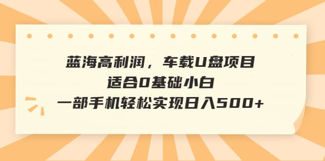 蓝海高利润，车载U盘项目，适合0基础小白，一部手机轻松实现日入500+-小白项目网