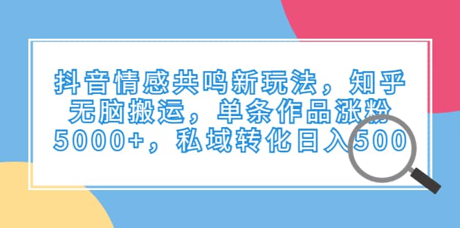 抖音情感共鸣新玩法，知乎无脑搬运，单条作品涨粉5000+，私域转化日入500-小白项目网